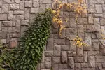 طبیعت پاییزی تبریز