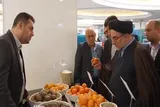 فیلم | غرفه اوقاف مازندران در نمایشگاه «روایت پیشرفت»