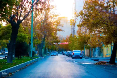 پاییز هزار رنگ ملایر