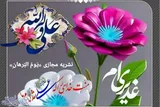 نشریه مجازی «یَومُ البُرهانِ» در بوشهر تولید و منتشر شد + فیلم