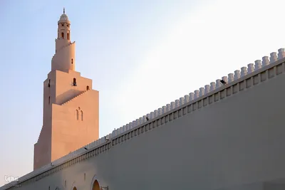 مسجد شجره