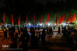 راهپیمایی اربعین حسینی مسیر نجف، کربلا