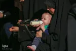 عزاداری هیئت محبان ثارالله شیراز‎