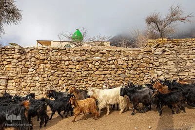 بارش برف در روستای «کندازی‎‎» - استان فارس
