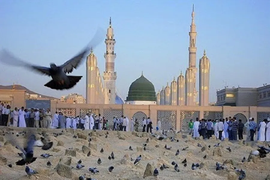صوت | سلام من به مدینه