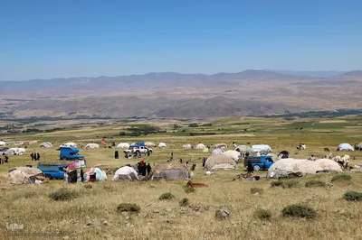 بازدید خبرنگاران استانی از مناطق عشایرنشین و ییلاقی اهر