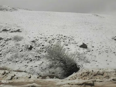 بارش برف در ارتفاعات اهر