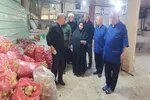 بازدید‌ از موکب‌های استان اردبیل در عتبات عالیات