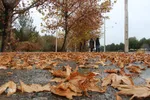 باران در پاییزی در بیرجند