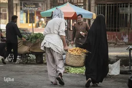 برداشت رطب و خارَک از نخلستان‌های شادگان