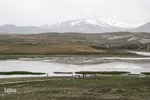 تالاب قوری گول‎‎