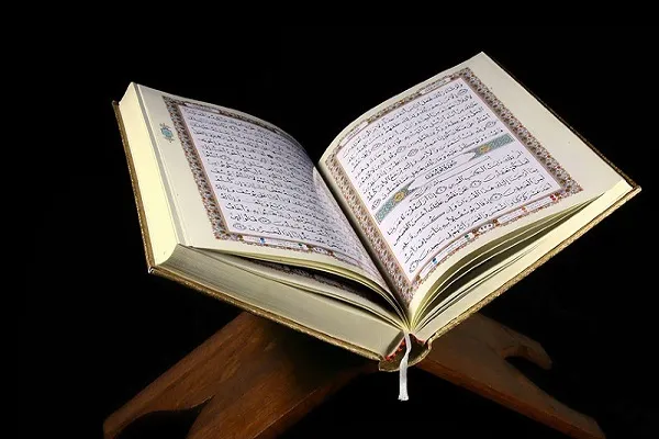أكاديمي تونسي: حرق المصحف يستهدف تحويل الحروب إلى دينية
