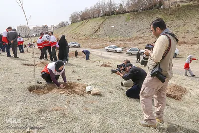 کاشت نهال صلح در بوستان طبیعت پردیسان توسط اعضای هلال احمر