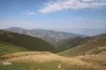 بقعه امامزاده پیرداوود‎