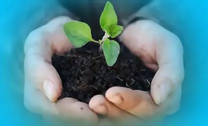 ইসলামী নৈতিকতার দৃষ্টিতে বেশী কথা বলা অপছন্দনীয়