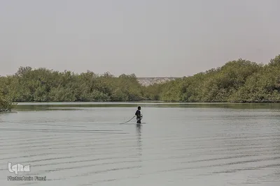 طبیعت صفر مرزی چابهار