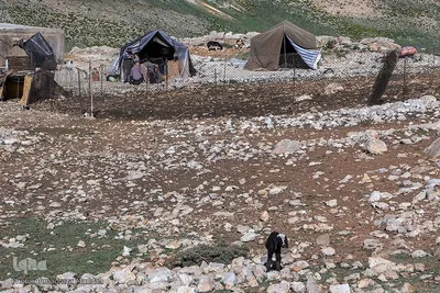 طبیعتی شگفت‌انگیز در سپیدان فارس