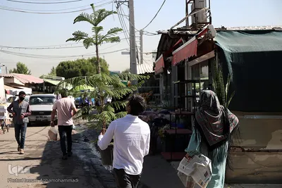 بازار گل شهید محلاتی در روز ملی گل