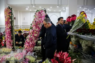گلسرای رضوی
