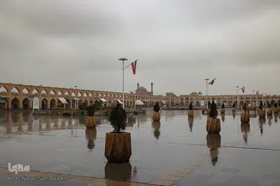 نصف جهان بارانی