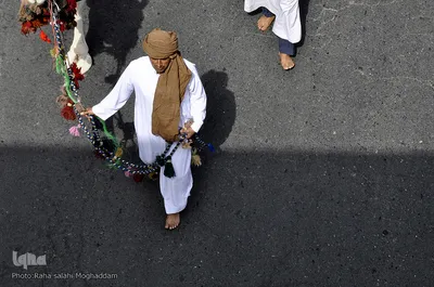 ورود نمادین کاروان حسینی به سرزمین کربلا