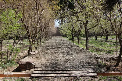 باغ رحیم‌آباد بیرجند