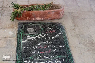 خفته در خاک؛ زنده در افلاک