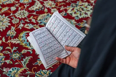 مراسم جشن میلاد امام رضا علیه السلام، ویژه خواهران