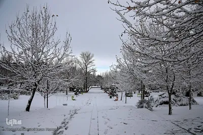اولین برف زمستانی همدان‎‎