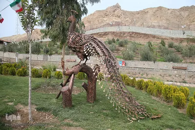 افتتاح باغ پرندگان قم در دره آباد ۱۲هکتاری