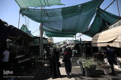 بازار گل شهید محلاتی در روز ملی گل