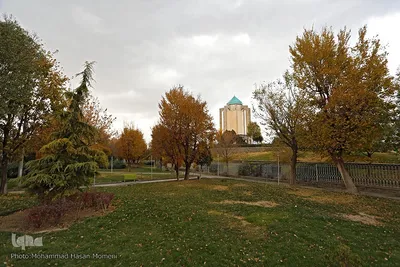 برگریزان پاییزی در همدان
