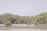 طبیعت صفر مرزی چابهار