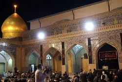 روضہ شاہ عبدالعظیم حسنی(ع) میں مجلس و ماتم