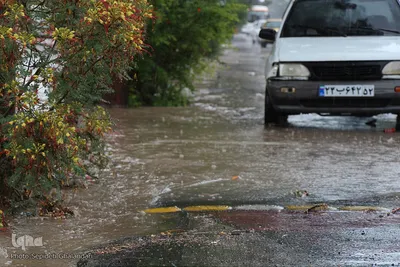 بارش باران و آبگرفتگی معابر - بیرجند