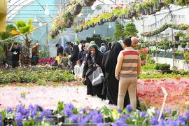 رونق بازار گل و گیاه در آستانه بهار