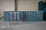 صادرات سیر؛ محصول پرخاصیت و معروف همدان