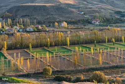 پاییز زیبای طالقان