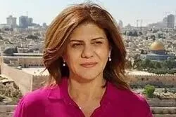 La Fédération internationale des journalistes se joint au procès contre Israël devant la CPI
