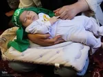 همایش شیرخوارگان حسینی در اهر