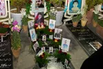 تحویل سال ۱۴۰۵ در گلستان شهدای اصفهان