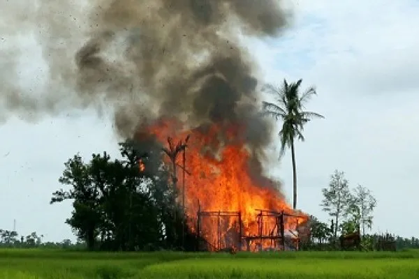 রাখাইন রাজ্যে বর্বরতা: খতিয়ে দেখতে বিভাগীয় তদন্ত কমিটি গঠন