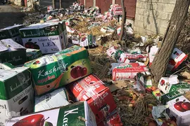 کشمیر، ۱۱۰روز بعد از لغو خودمختاری