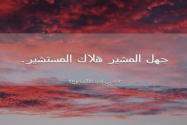 على العاقل أن يشاور ذوي العقول الناصحين الراشدين