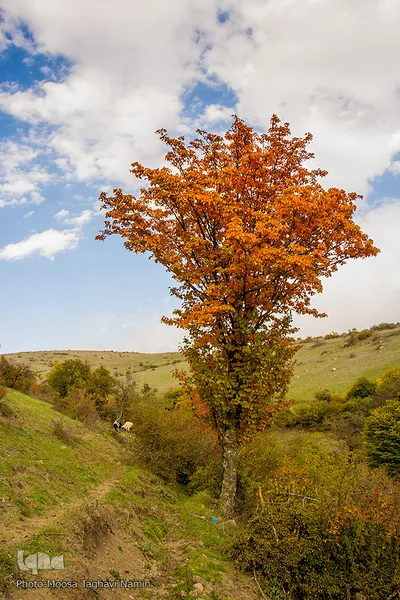 طبیعت پاییزی روستای خشه حیران نمین - اردبیل
