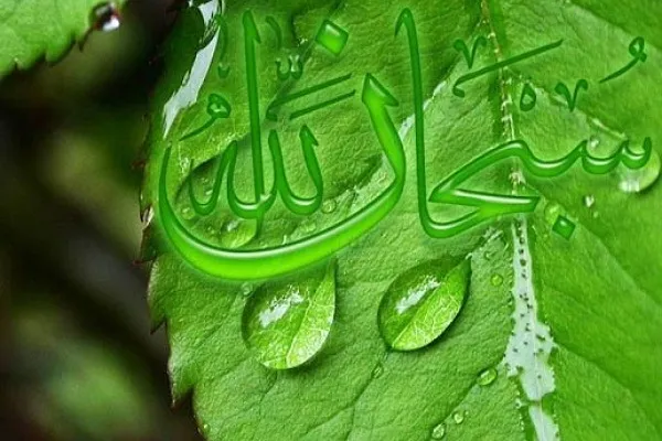 روز طبیعت امروز معنای واقعی خود را پیدا کرد
