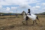 سی‌ویکمین جشنواره فرهنگی‌ ورزشی عشایر آذربایجان‌ شرقی