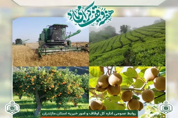 پیشرفت اوقاف مازندران در احیای موقوفات کشاورزی
