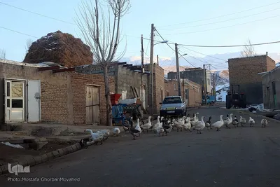 برف و یخبندان روستای «کردلر» در اهر