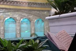 İmam Rzanın (ə) hərəmində Həzrət Zəhranın (s) əzadarlıq məsclisi keçirildi - Foto